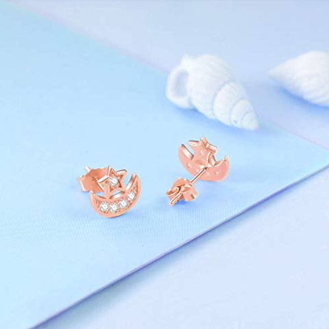 Rose Gold 925 Sterling Silver Stud Earrings Jewelry for Women(Cubic Zirconia Earrings)