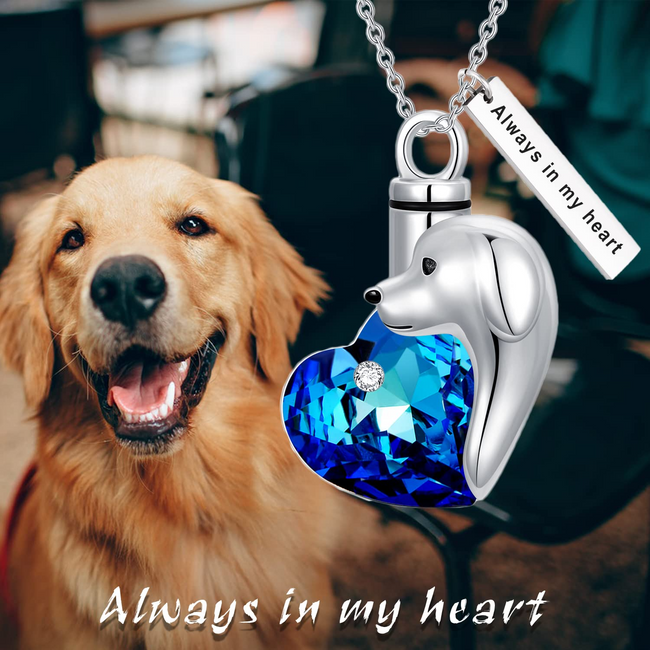 Pet Urn Necklace for Ashes Sterling Silver Crystal Pet Cat Dog Puppy Cremation Keepsake Memorial Jewelry for Ashes for Women Girls